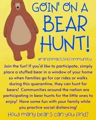 Bear hunt