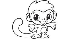 monkey