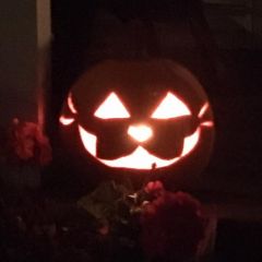 Cat Pumpkin Outside!