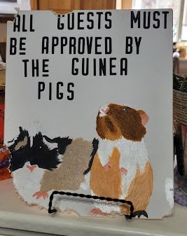 large.215726875_GuineaPigSign.jpg.a529f7d68ef3202d08d1b061581e949c.jpg