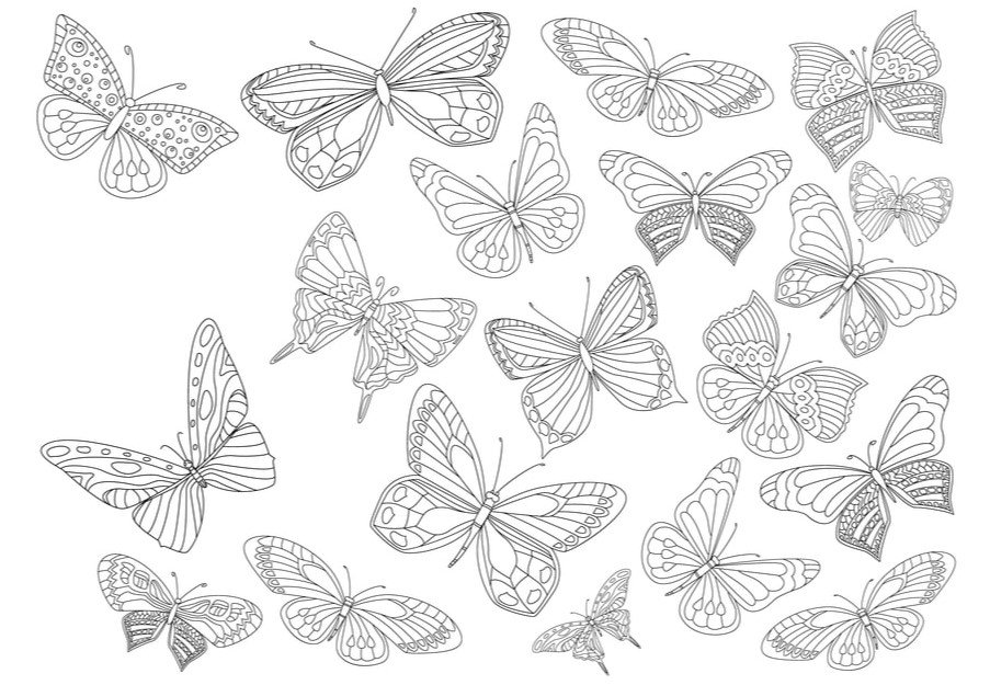 large.Butterfly-Coloring-Page-1.jpg