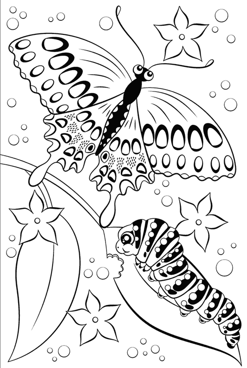 large.Free-Butterfly-Coloring-Page-for-Kids.png