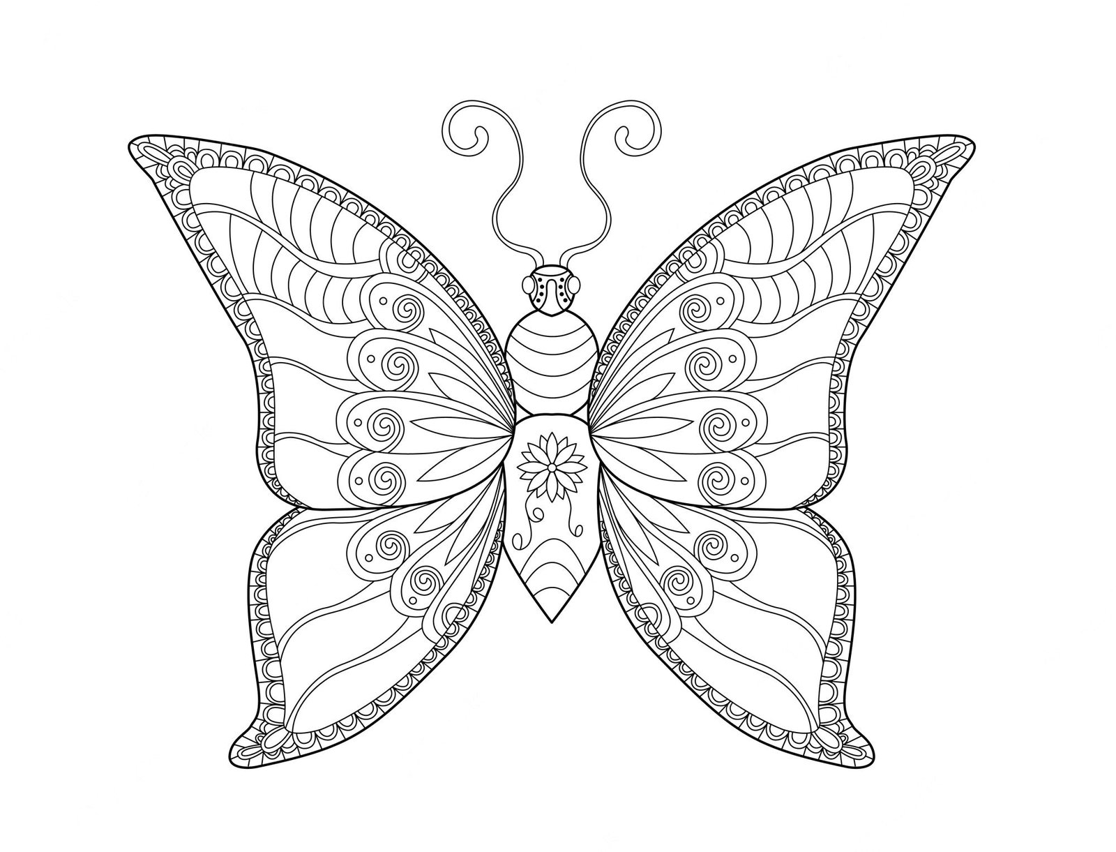 large.butterfly111.jpg