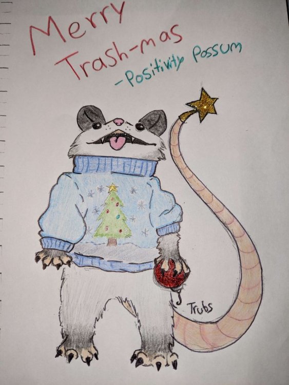 Possum trash-mas.jpg