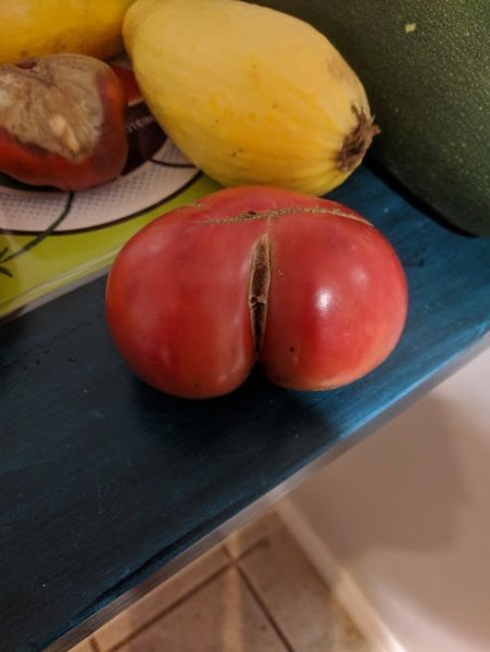 Tomato Butt