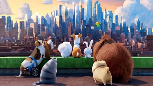 More information about "The Secret Life of Pets 1 part 1"