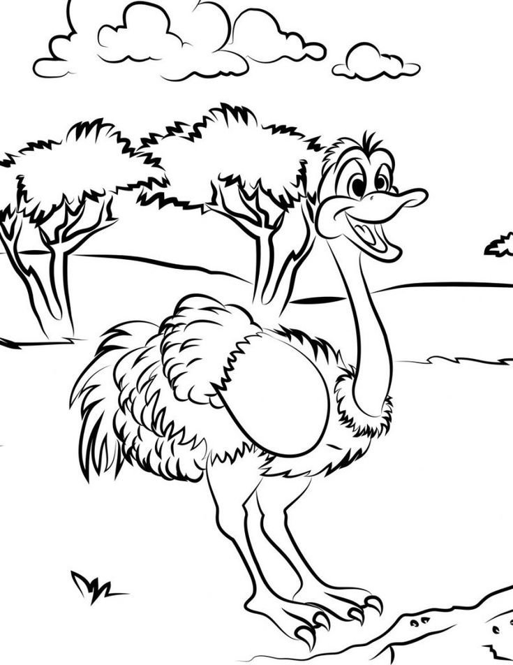 large.ostrich1.jpg