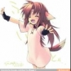 lilfoxe