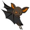 CanadianBabyBat